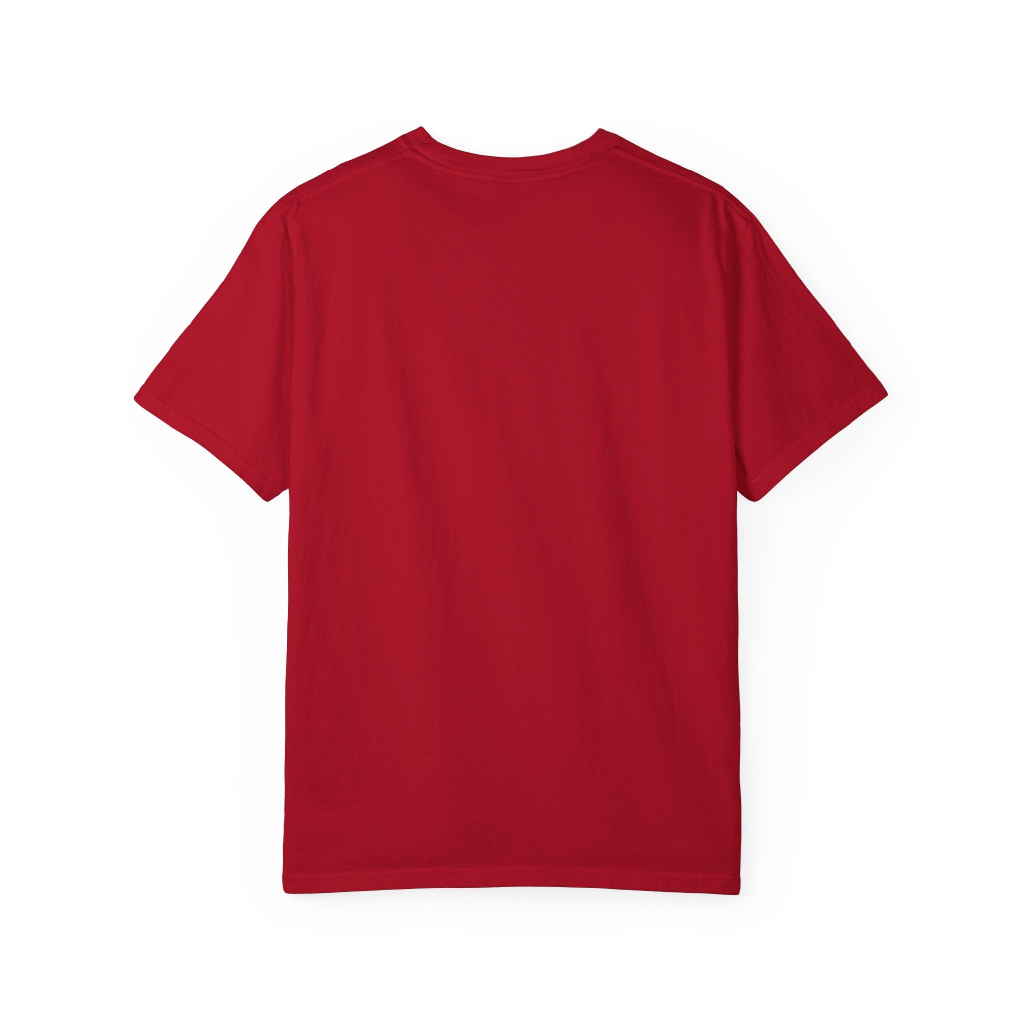 Aquemini - Comic Book Art - Unisex Comfort Colors T-shirt